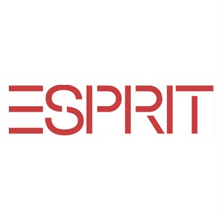 Esprit价格深度研究与探讨