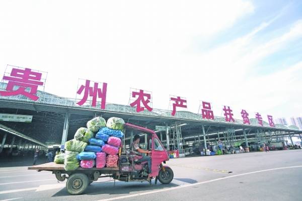 南骏农用车，推动农业现代化与乡村振兴的强劲动力