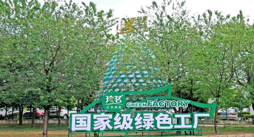 新手开车必备技巧，掌握驾驶之路的关键要素