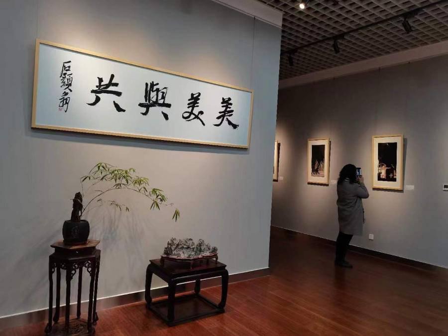 鲁Q，探寻车牌符号背后的故事
