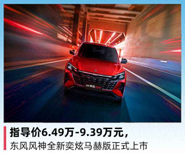 简报 第228页