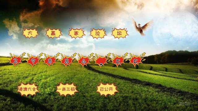 新澳门彩4949最新开奖记录|准确解释解析落实