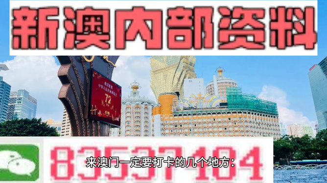 2024澳门精准正版免费大全|精选解释解析落实