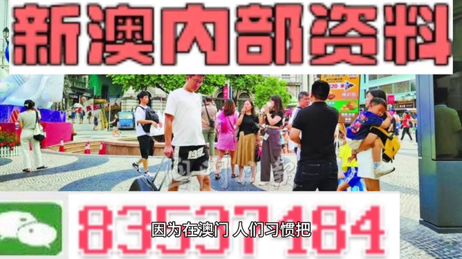2024新澳门正版精准免费大全|精选解释解析落实