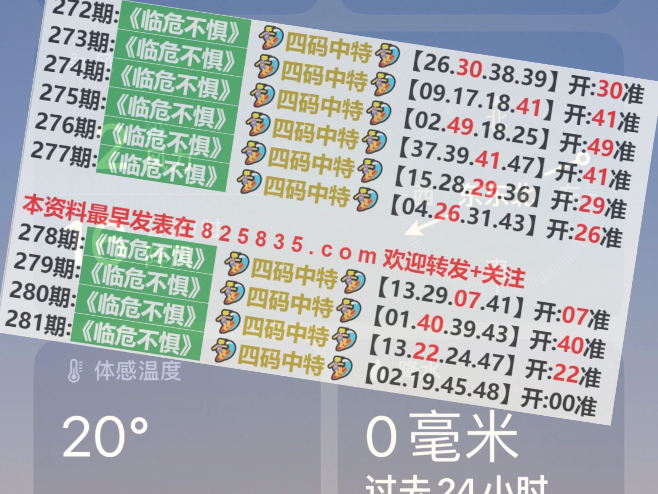 简报 第98页