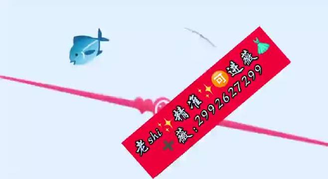 新澳精准一肖一码|精选解释解析落实