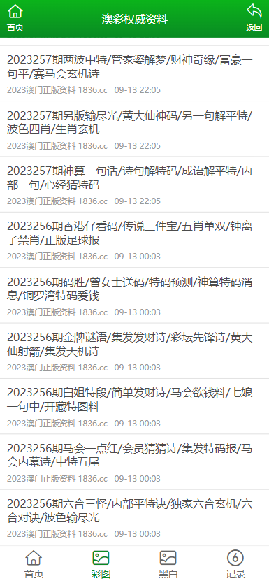 2024澳门正板资料大全免费2024|精选解释解析落实