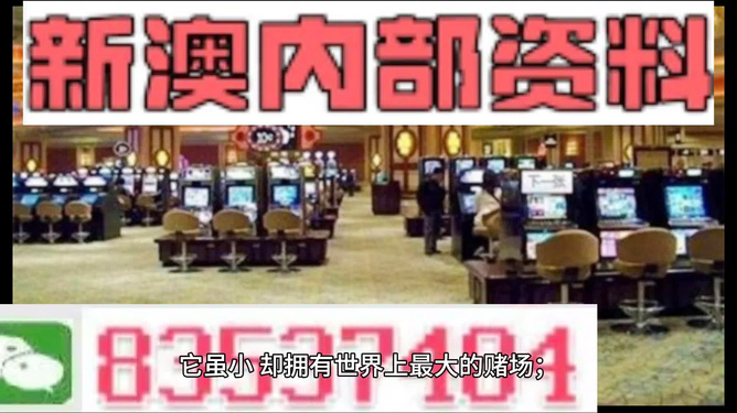 2024澳门精准正版|精选解释解析落实