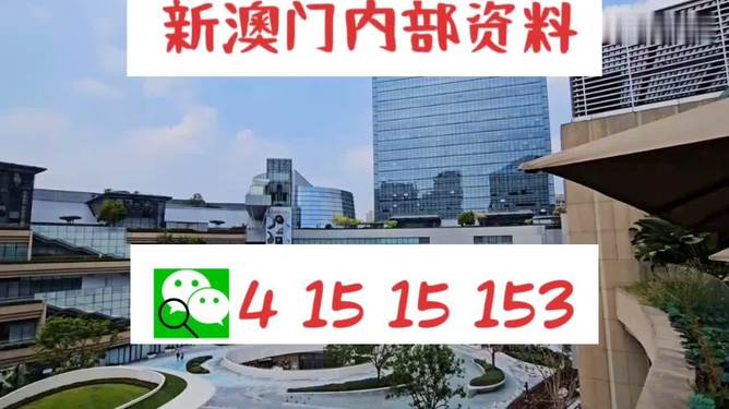 新澳门特免费资料大全|精选解释解析落实