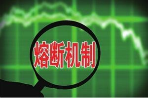 新澳精准资料免费提供|精选解释解析落实