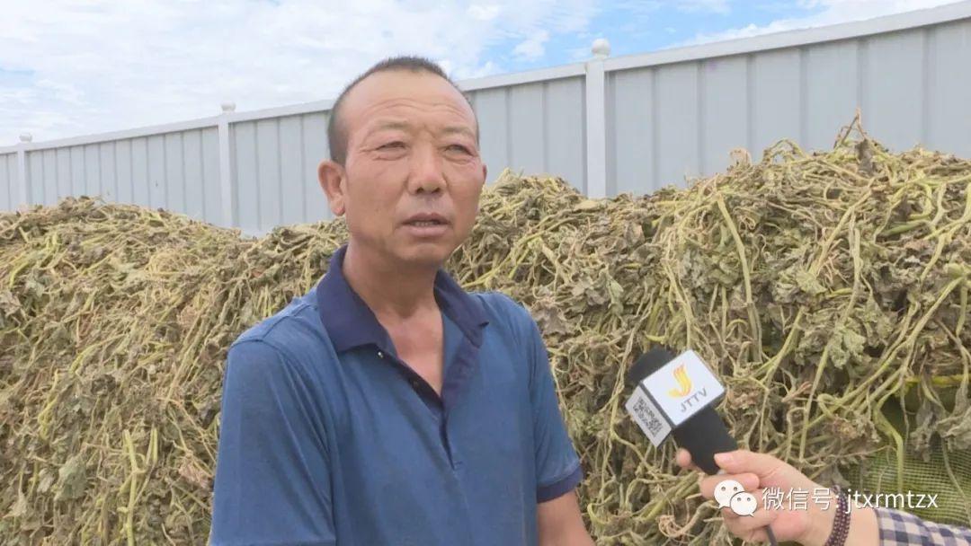 绿源电动车，引领电动出行绿色革命的先锋